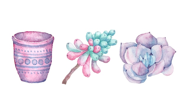 Ensemble Vectoriel De Plantes Aquarelles Dessinées à La Main