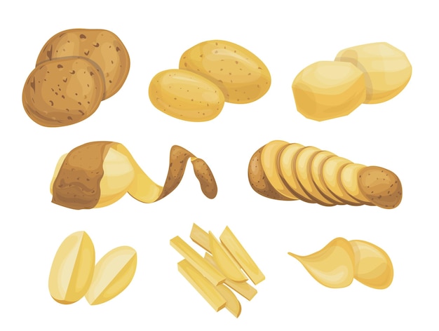 Ensemble vectoriel de pommes de terre Pommes de terre propres, pommes de terre hachées