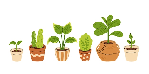 Vecteur ensemble vectoriel de pots de jardinage et de plantes dans des pots isolés sur fond blanc ensemble de plantes d'intérieur