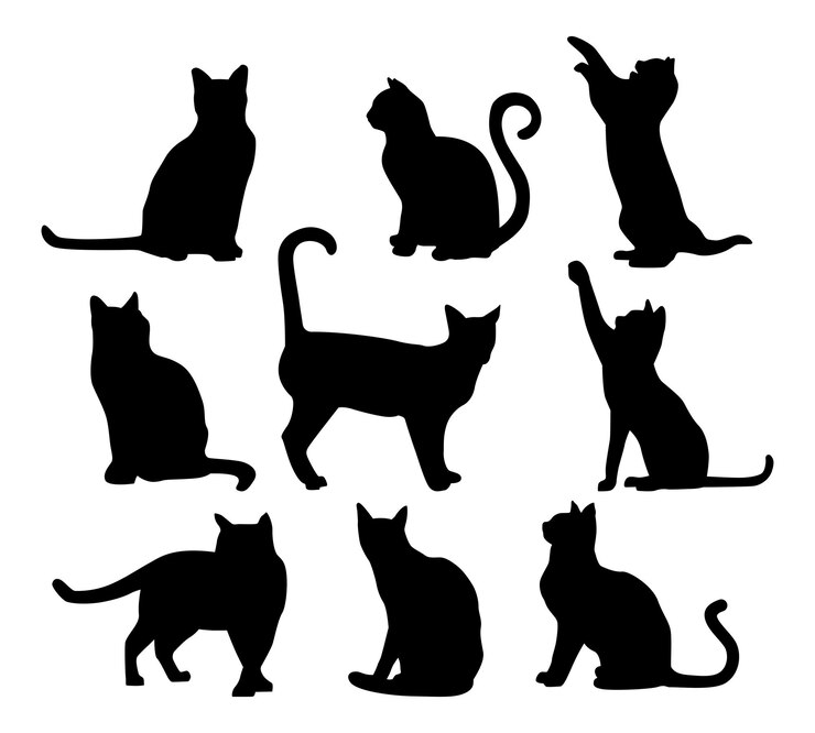 Vecteur ensemble vectoriel de la silhouette du chat