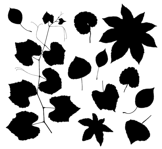 Ensemble vectoriel de silhouette de feuilles