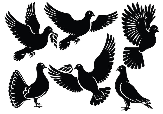 ensemble vectoriel de silhouette de personnage d'oiseau