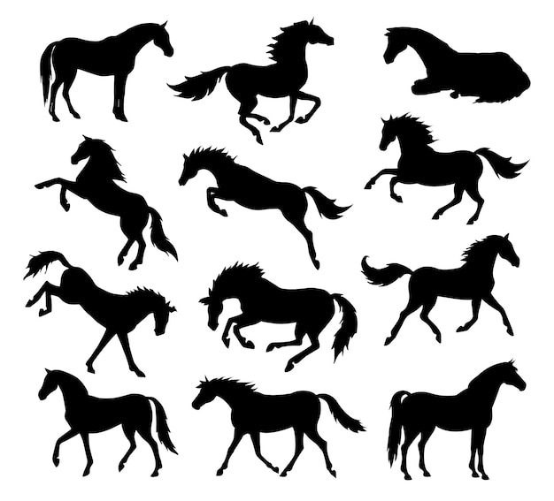 Ensemble vectoriel de silhouette de poses de cheval plat