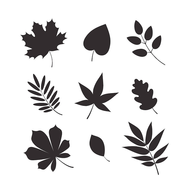 Ensemble Vectoriel De Silhouettes De Feuilles D'automne. Illustration Plate.