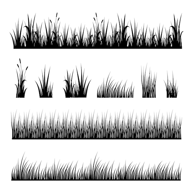 Ensemble Vectoriel De Silhouettes D'herbe Isolées Sur Fond Blanc