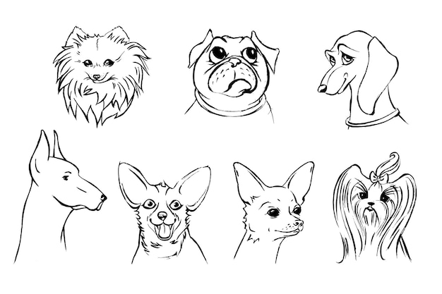 Vecteur un ensemble de visages de chien muselières de différentes races de chiens dessin graphique avec un dessin au trait à la main