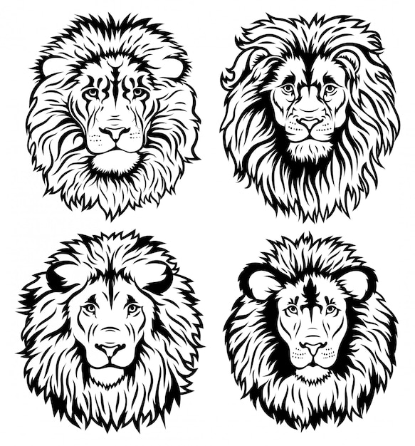 Vecteur ensemble de visages de lion. collection de chats sauvages silhouette avec crinière.