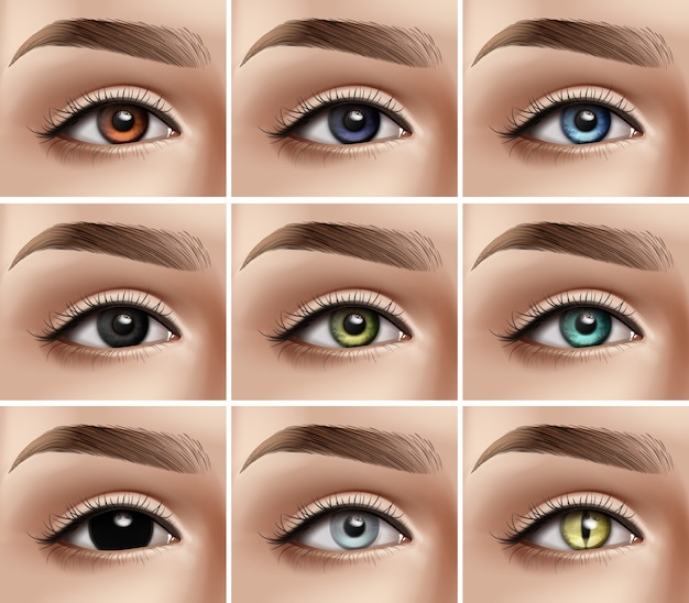 Vecteur ensemble d'yeux de femmes réalistes avec différents types de couleurs et lentilles de contact décoratives