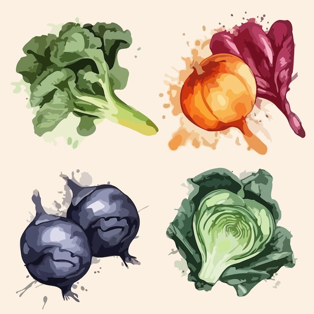 Ensembles De Légumes Paquet De Peinture à L'aquarelle Végétale