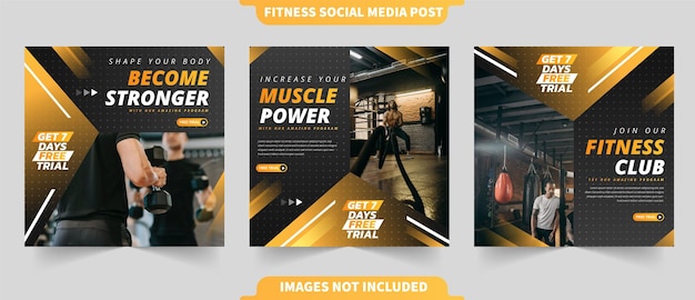 Vecteur entraînement physique et gym dégradé pour la collection de publications sur instagram et les médias sociaux avec modèle photo