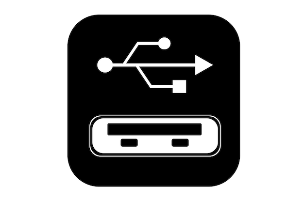 Une Entrée Usb Flash Icône Symbole Illustration Vectorielle