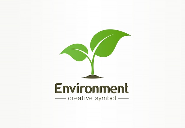 Environnement, Feuille Verte, Concept De Symbole Créatif Organique. Cosmétiques Bio Naturels, Idée De Logo D'entreprise Abstraite Nature. Icône De Croissance Plante Eco.