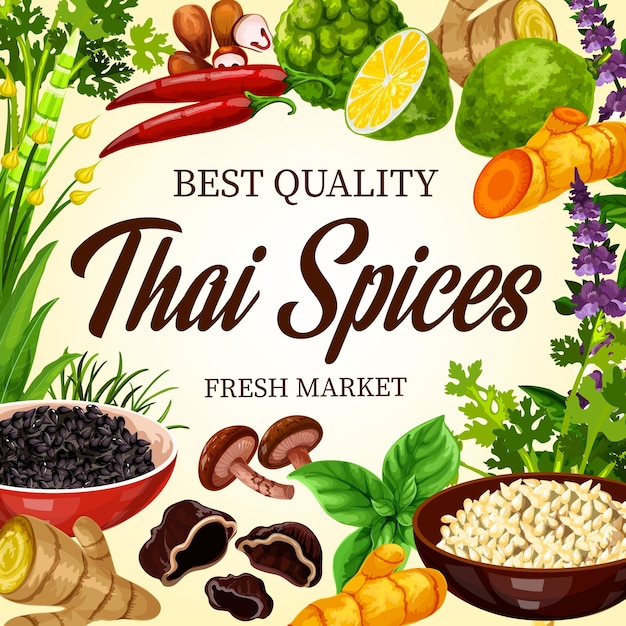 Vecteur Épices et herbes de cuisine thaïlandaise assaisonnements asiatiques