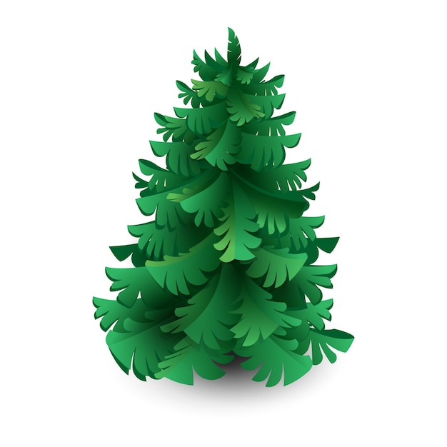 Épinette Verte, Pin Ou Sapin