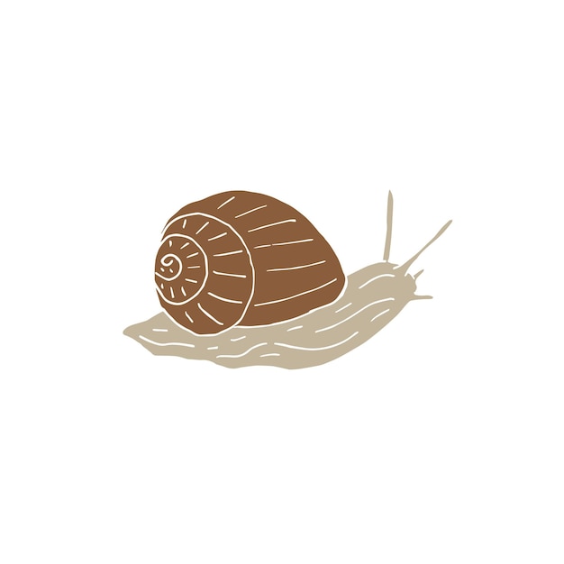 Escargot De Croquis De Doodle Dessinés à La Main De Vecteur