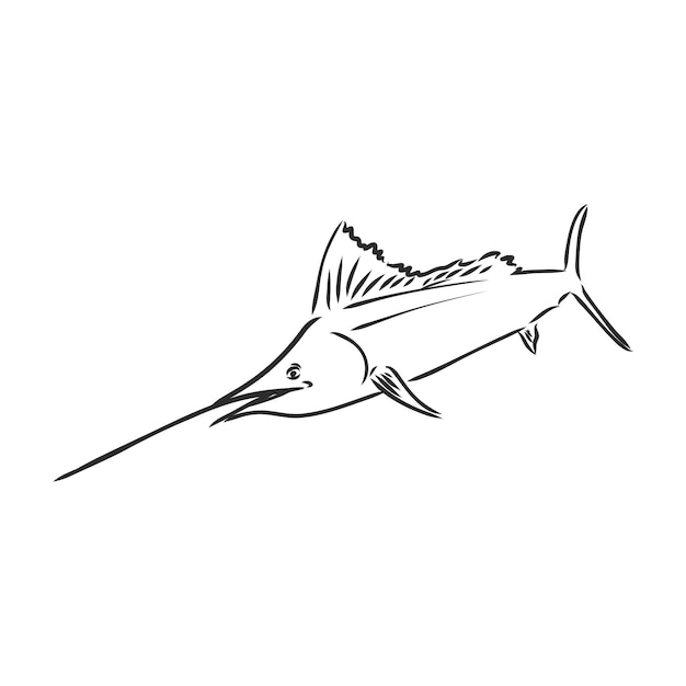 Espadon Dessiné à La Main. Illustration Vectorielle Dans Le Style De Croquis Croquis De Vecteur De Marlin Sur Fond Blanc