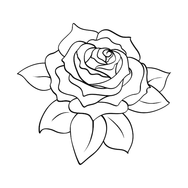 Esquisse de contour de bourgeon en fleurs de fleur rose sur blanc