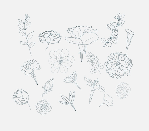 Esquisse de dessin Vecteurs Fleur icône arrière-plan Floral Rose logo motif Photos bouquet clipart