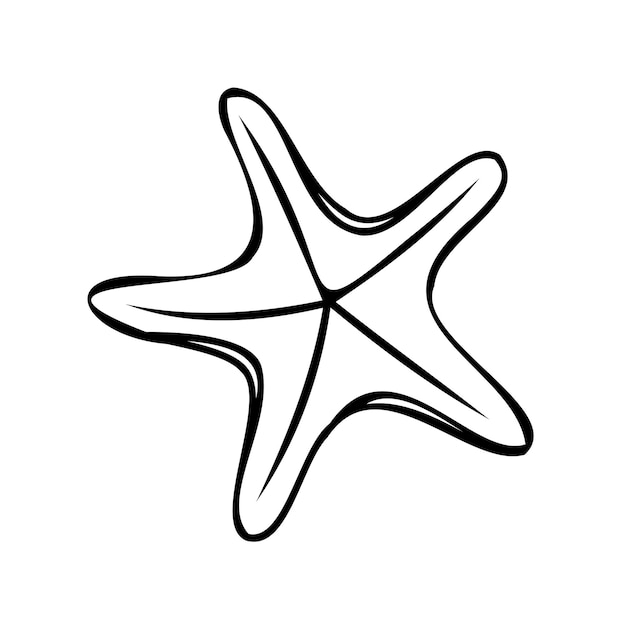 Vecteur esquisse du contour d'une étoile de mer gribouillis d'une étoile de mer sur fond blanc