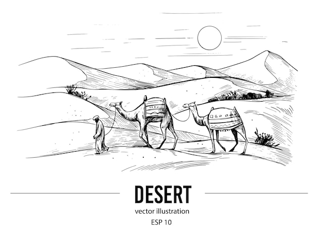 Vecteur esquisse du désert du sahara. illustration vectorielle de dunes de sable et de chameaux