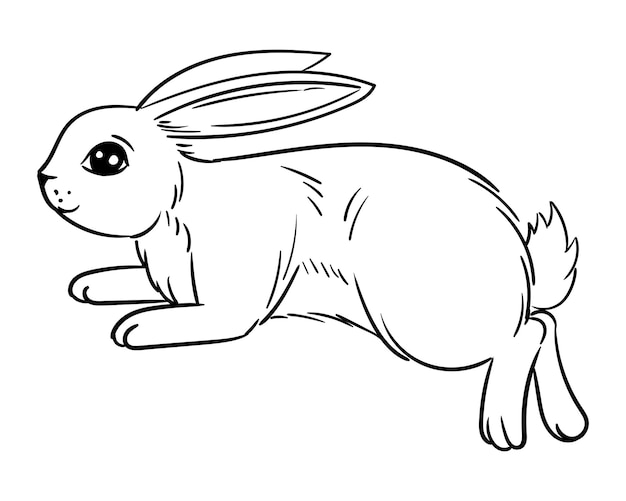 Vecteur esquisse de griffonnage lapin sautant. illustration de vecteur de saut de lapin mignon isolé sur fond blanc