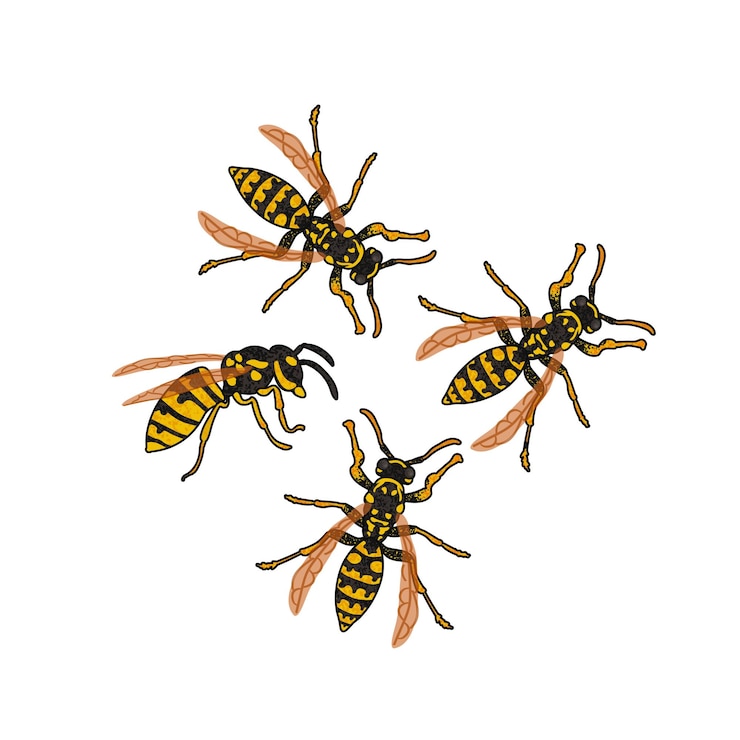 Vecteur un essaim de guêpes illustration colorée