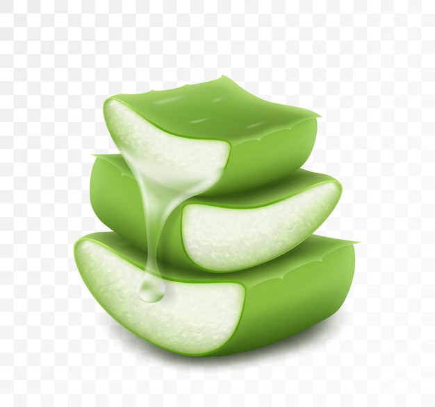 Essence de la plante d'aloe vera s'égoutte de la tige Aloe Vera collagène Sérum Soins de la peau Cosmétique Illustration vectorielle 3d réaliste isolée sur fond transparent