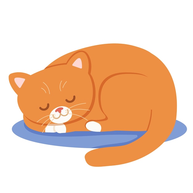 Vecteur c'est un chat rouge mignon qui dort, une chatte qui dort, un chaton qui se détend, une illustration de dessin animé à vecteur plat.