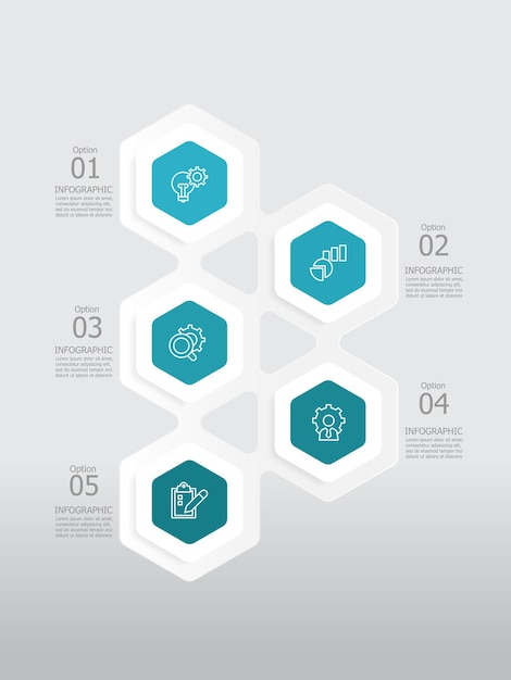 étapes d'hexagone circulaire ligne de temps élément infographique contexte du rapport avec icône de ligne d'activité 5 étapes