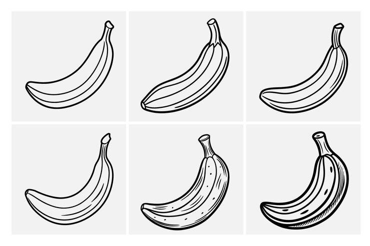 Vecteur les étapes de la maturation de la banane