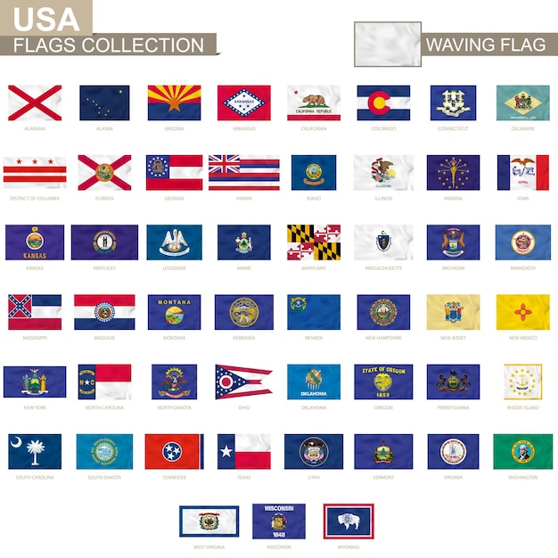 États Américains Agitant La Collection De Drapeaux Illustration Vectorielle