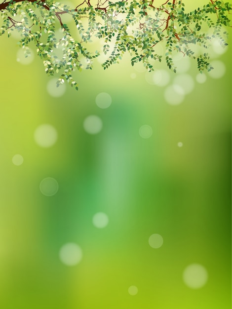 L'été dans la forêt, abstrait naturel.