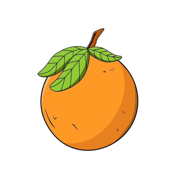 été illustration orange fruit objet isolé fond blanc