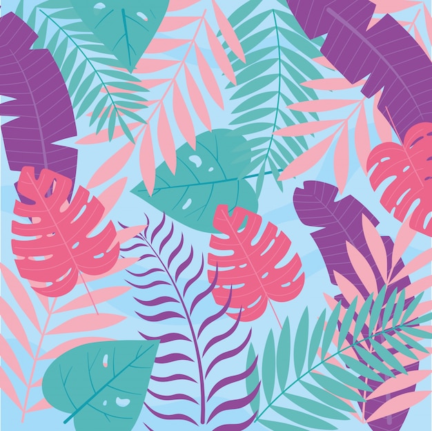 été, vacances, monstera, paume, feuilles, feuillage, botanique, fond, illustration