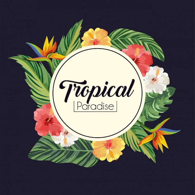 Étiquette Avec Plantes Et Feuilles De Fleurs Tropicales