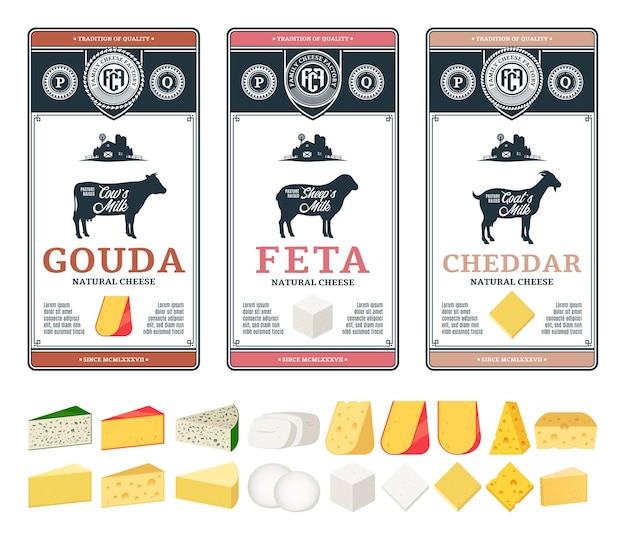 Vecteur Étiquettes de fromage de vecteur et différents types d'icônes détaillées de fromage