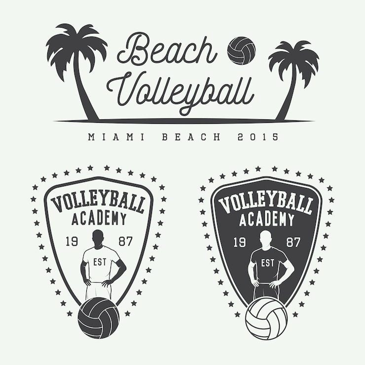 Vecteur étiquettes de volleyball