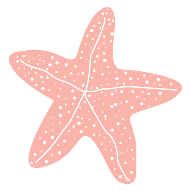 Vecteur l'étoile de mer est une belle créature marine qui a la forme d'une étoile à cinq branches