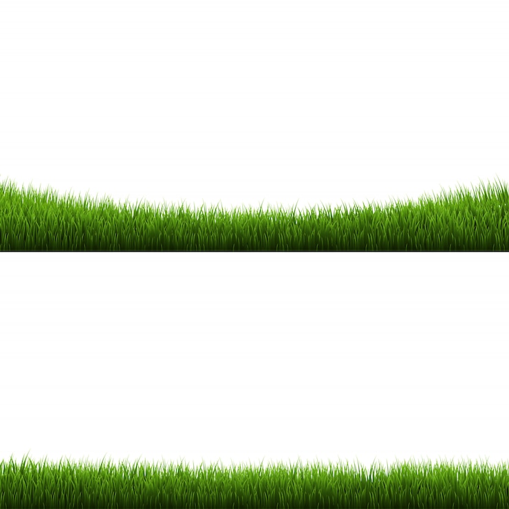 Vecteur etwogreengrassframessetisolatedwhitebackground