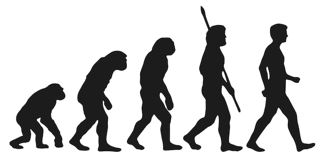 Vecteur l'évolution de darwin des silhouettes humaines avec les différentes étapes de l'illustration vectorielle de l'évolution