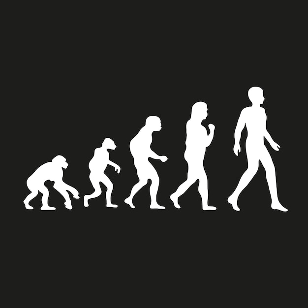 L'évolution Darwinienne De L'homme