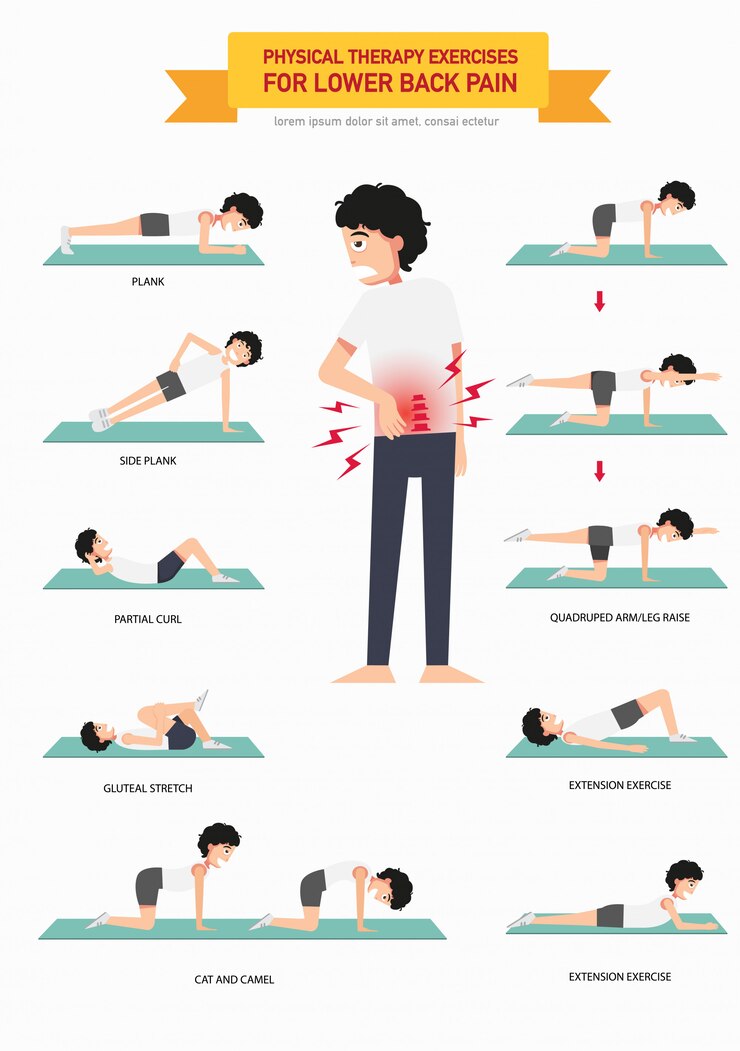 Vecteur exercices de physiothérapie pour infographie des douleurs lombaires, illustration.