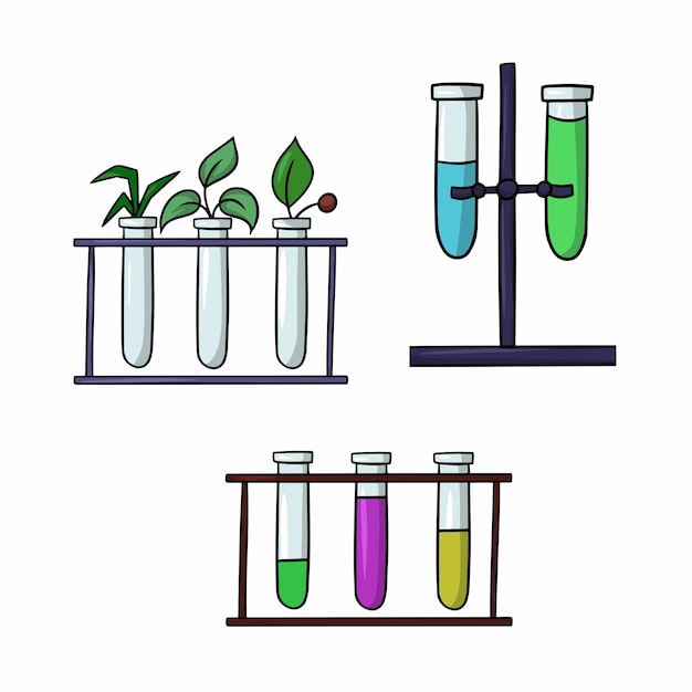 expérience biologique et chimique un support avec des tubes en verre avec différentes solutions un vecteur