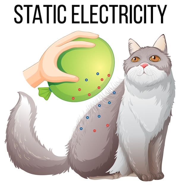 Expérience D'électricité Statique Avec Ballon Et Chat