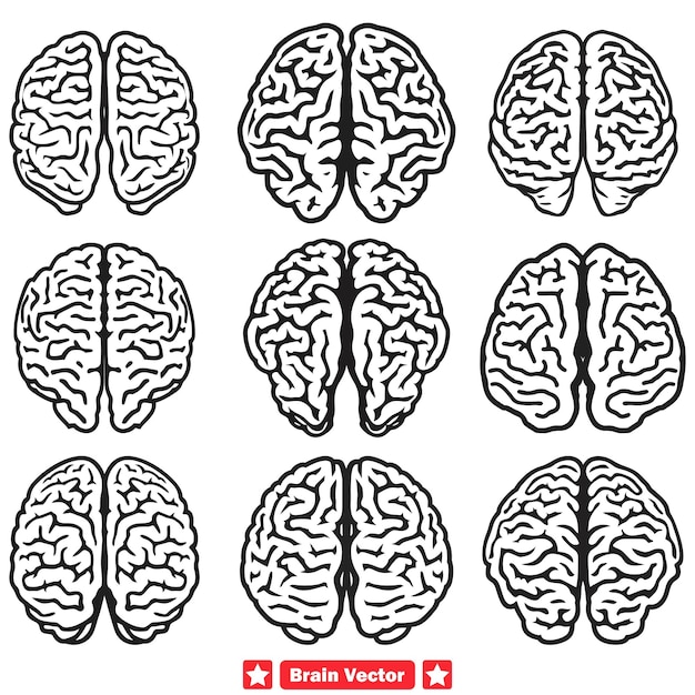 Explorations Des Réseaux Neuronaux Résumé Collection De Vecteurs Cérébraux Pour Les Ressources Des Sciences Cognitives