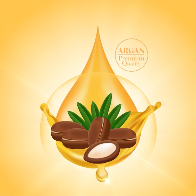 Extrait d'argan pour illustration vectorielle de produit capillaire