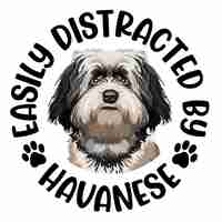 Vecteur facilement distrait par le chien havanais typographie t-shirt design vecteur