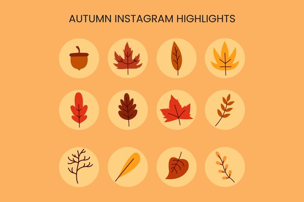 Faits Saillants D'instagram D'automne