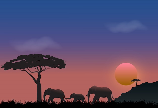 Famille d&#39;éléphants au fond de la nature de prairie