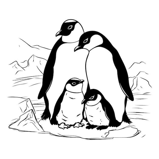 Vecteur famille de pingouins illustration vectorielle en noir et blanc des pingouins